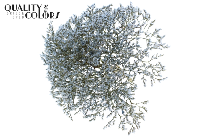 <h4>Limonium Tataricum per bunch Light Blue</h4>