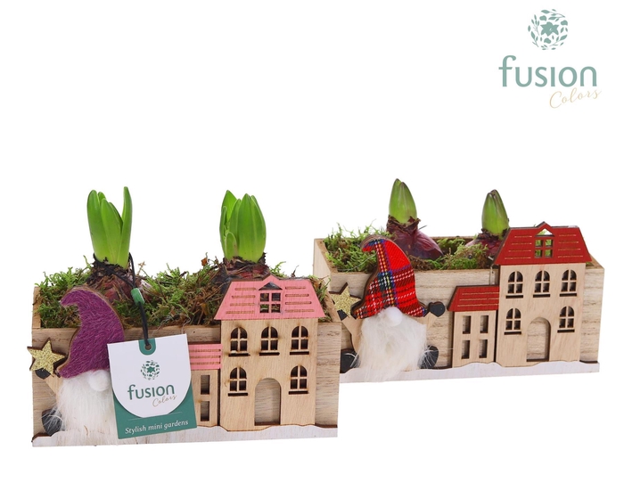 <h4>Kerst planter hout met Hyacinthus</h4>