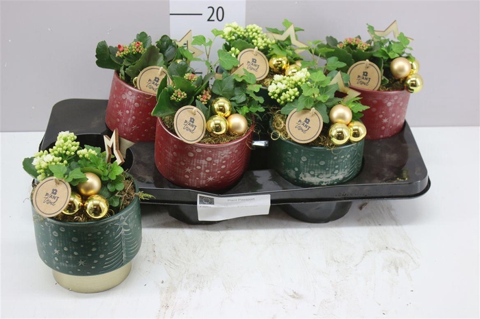 <h4>Arr 8260 Kerstpotje</h4>