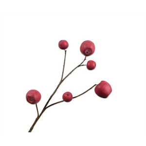 Appel tak 87cm rood 12/ds