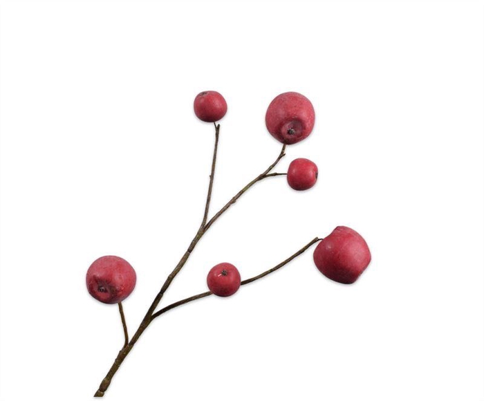 <h4>Appel tak 87cm rood 12/ds</h4>