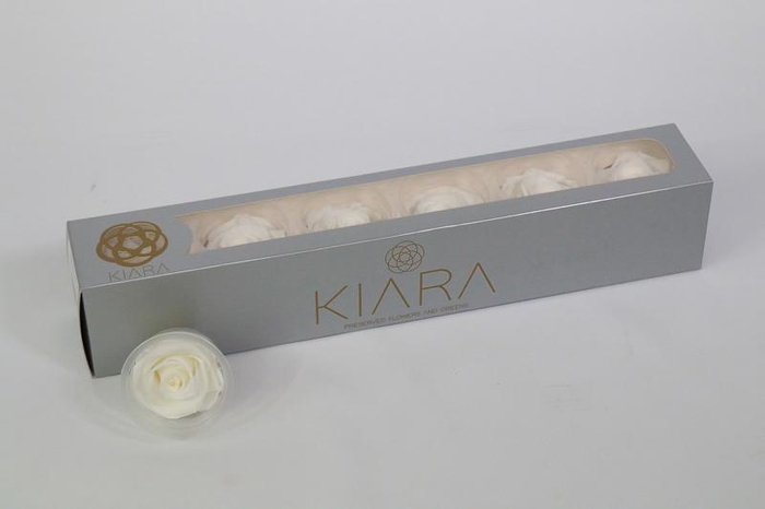 <h4>R P 01 White Kiara</h4>