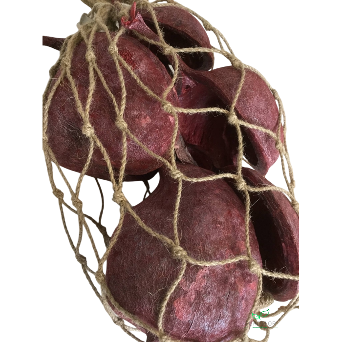 <h4>BUDDHA NUTS PEARL WASHED RED</h4>