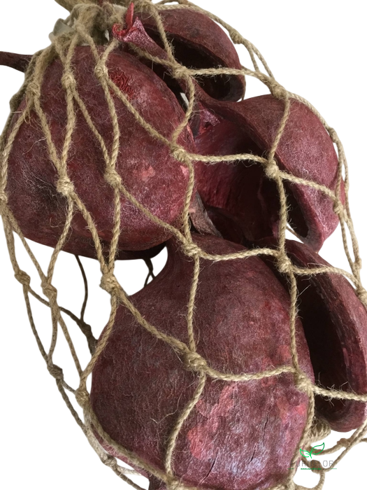 BUDDHA NUTS PEARL WASHED RED