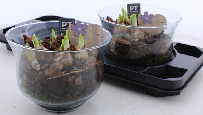 <h4>ARR N TETE A TETE</h4>