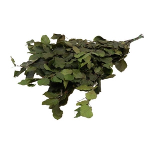 Bunch Fagus Pres. Slv 150g L80