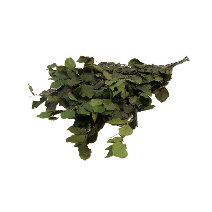 <h4>Bunch Fagus Pres. Slv 150g L80</h4>