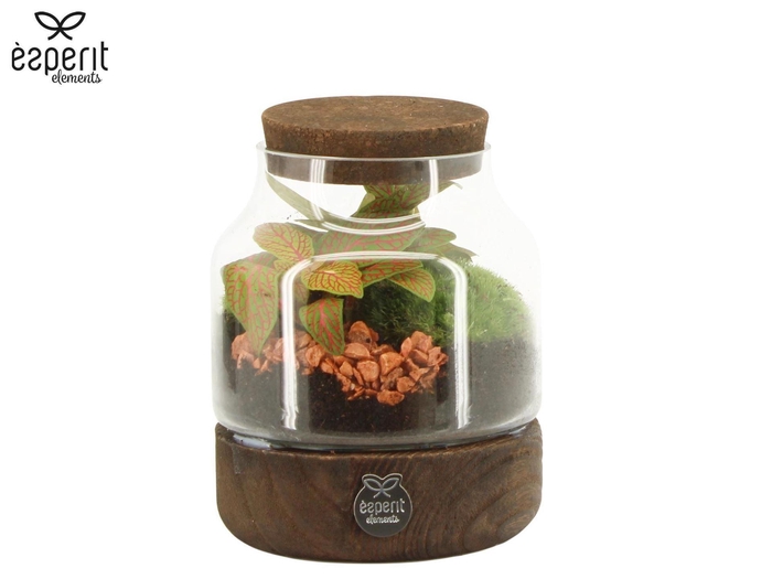 <h4>Arr. Planten L%</h4>