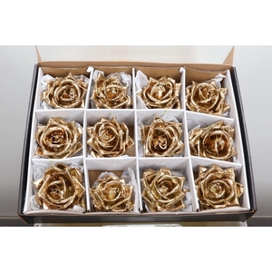 Zijde R Wx (bl) Goud