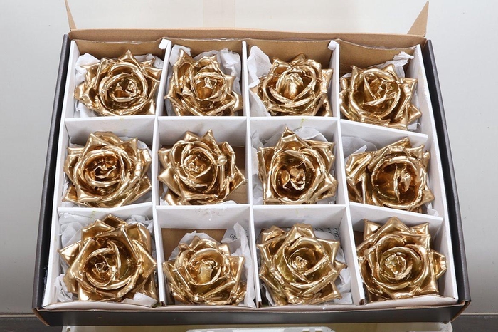 <h4>Zijde R Wx (bl) Goud</h4>