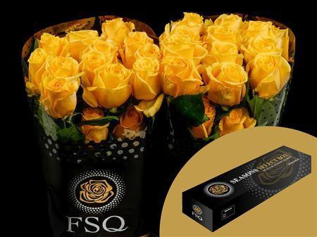 <h4>R Gr Super Sun Box</h4>