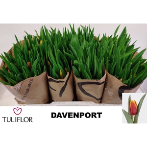 TU FR DAVENPORT