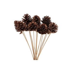 Pick Nat Pinecone Natural 50cm Ass P/12