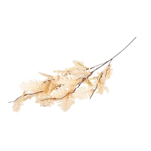 Branch Leaf Persian L105