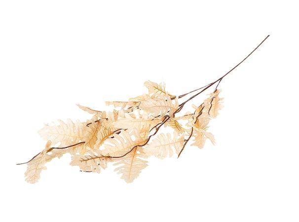 Branch Leaf Persian L105