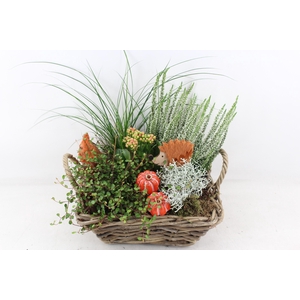 arr4 Outdoor VL - Kubu mand 4kant XL