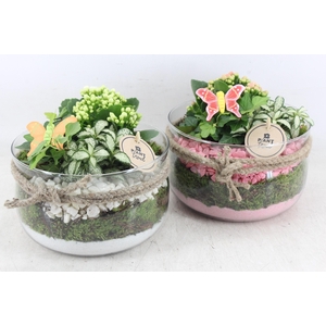 arr2 PL - Glas bose touw x3 - roze/wit