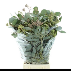 EUC POLYAN FRUI P BS