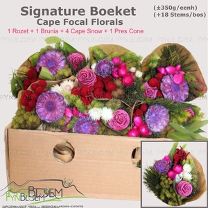 KAAPS GROE GEM IN BS