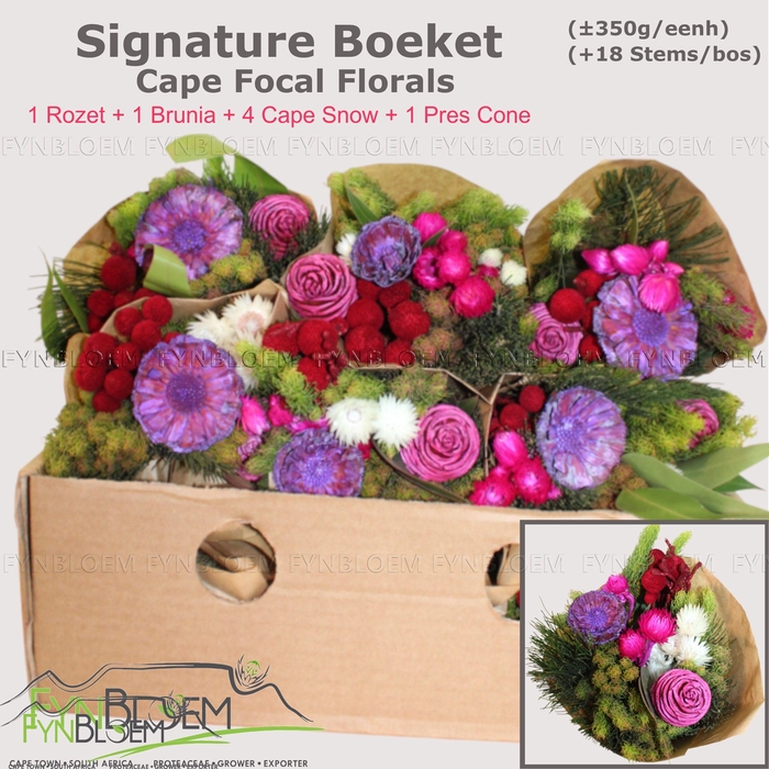 <h4>KAAPS GROE GEM IN BS</h4>