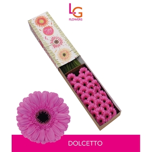 Germini Dolcetto Doos