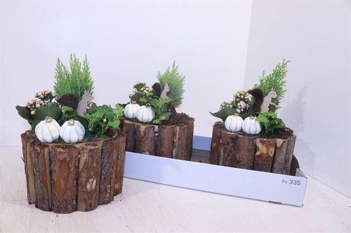 <h4>ARR TUINPLANTEN</h4>