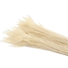 Feather Peacock Bleached White L90-100