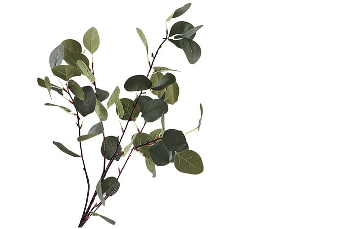 <h4>Eucalyptus Green</h4>