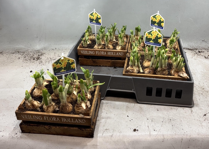 <h4>ARR N TETE A TETE</h4>