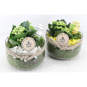 arr2 PL - Glas cilinder touw x6 - geel/wit