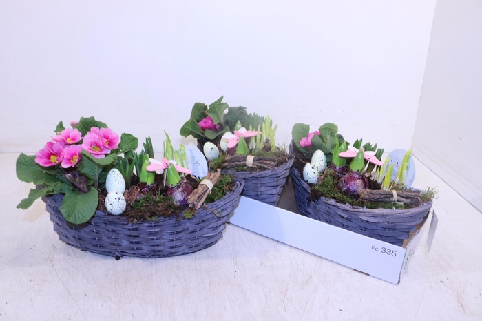 <h4>ARR TUINPLANTEN</h4>