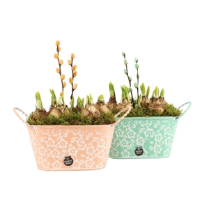 11645: Outdoor spring arrangement