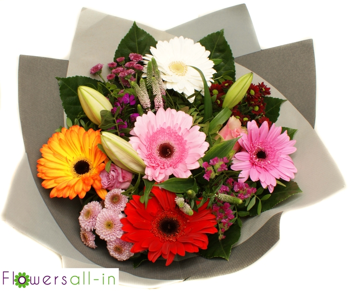 <h4>2026060 bont</h4>