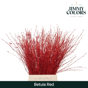 Betula L60 Red