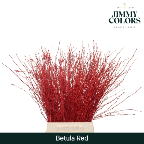 <h4>Betula L60 Red</h4>