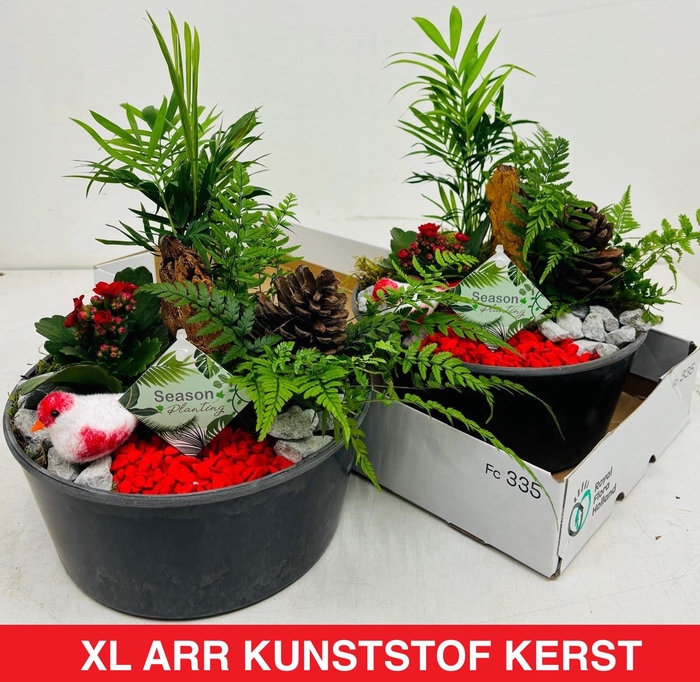 <h4>ARR KERST</h4>