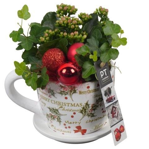 <h4>Opm Pt PTCHR7288 X-mas Red Keramiek Pot</h4>