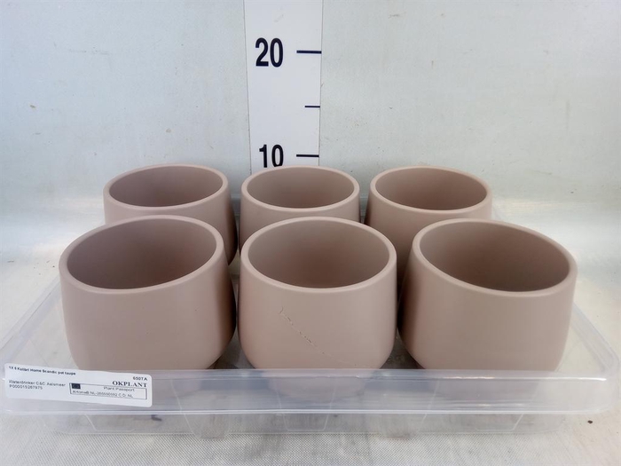 <h4>Pot   ...Keramische H%</h4>