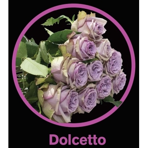 R Gr Dolcetto