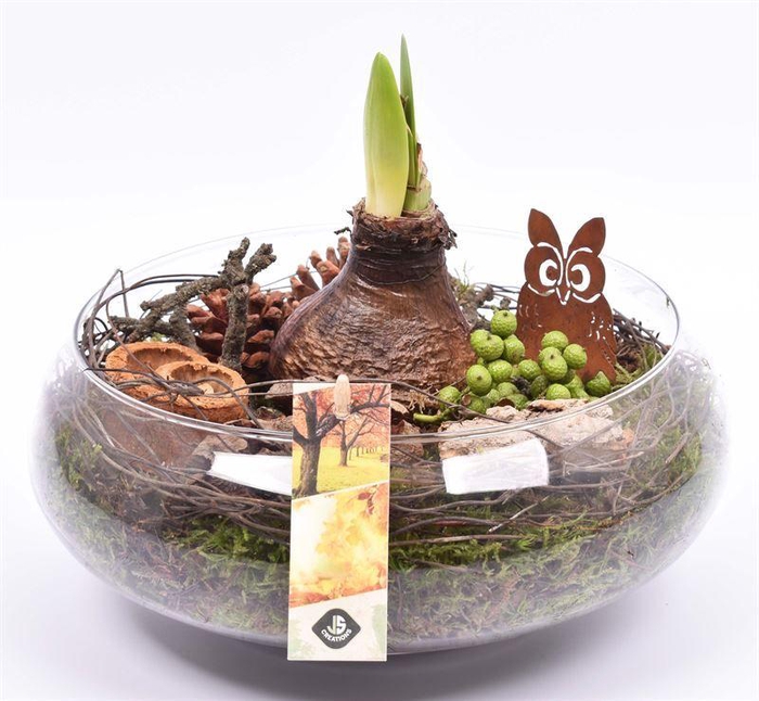 <h4>Glas schaal 24cm</h4>