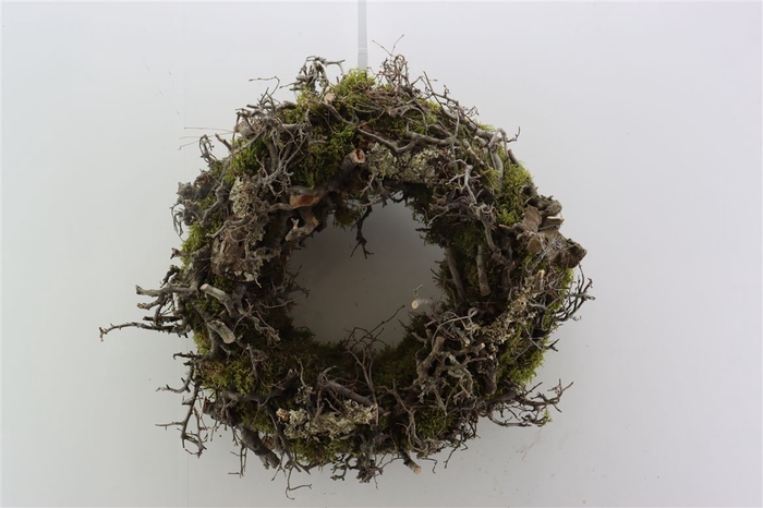 <h4>Wr Moss Larix Bonsai 45cm</h4>