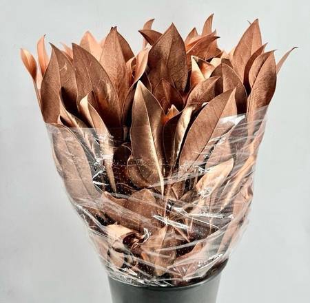 <h4>Magnolia Painted Luxury Copper</h4>