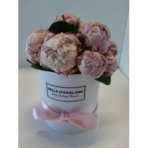 Box rd 12cm Peony wit-roze