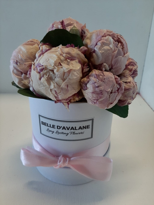 <h4>Box rd 12cm Peony wit-roze</h4>