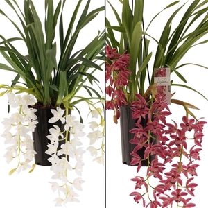 love mix 3-6 takken (rose en wit mix)