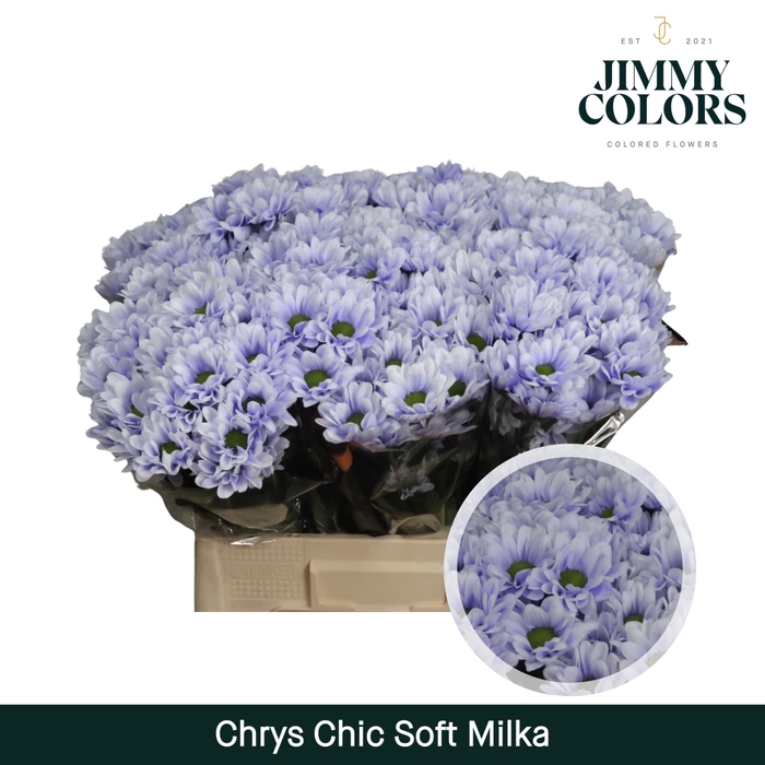 <h4>Chrys tros Chic Soft milka</h4>