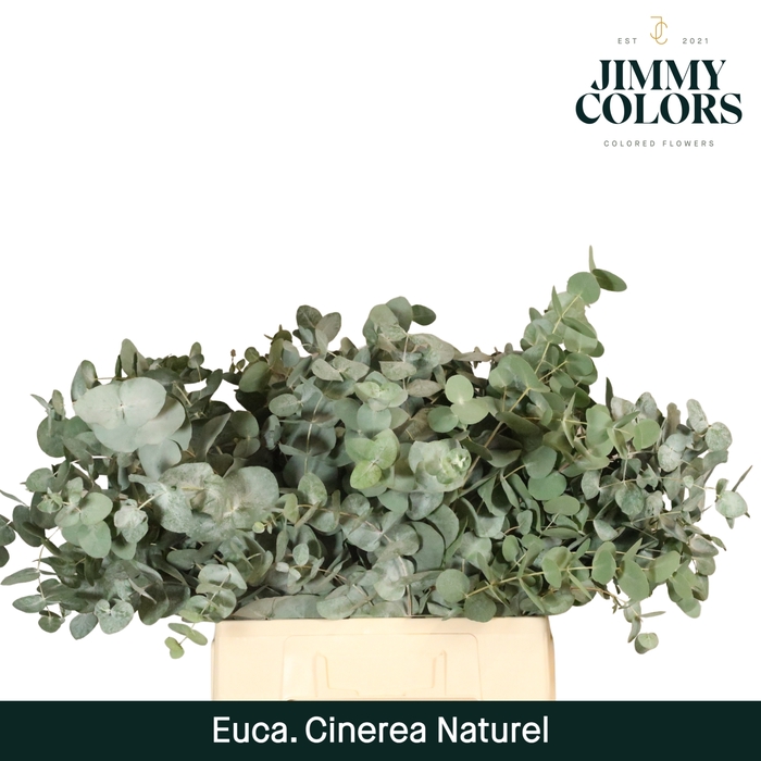 <h4>Cinerea per bos 200g naturel Naturel</h4>