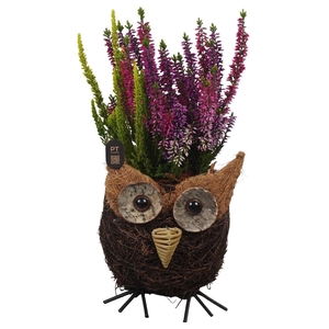 Arr.   Tuinplanten L%