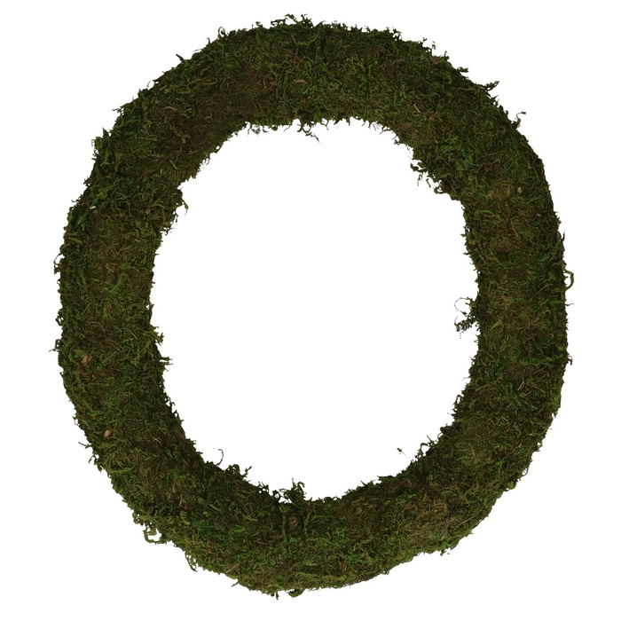 <h4>Wreath d40cm Moss</h4>