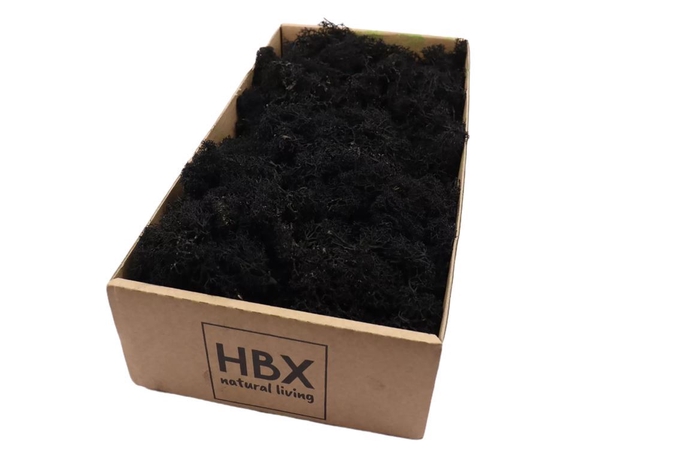 <h4>Moss Reindeer Moss 500gr Black</h4>